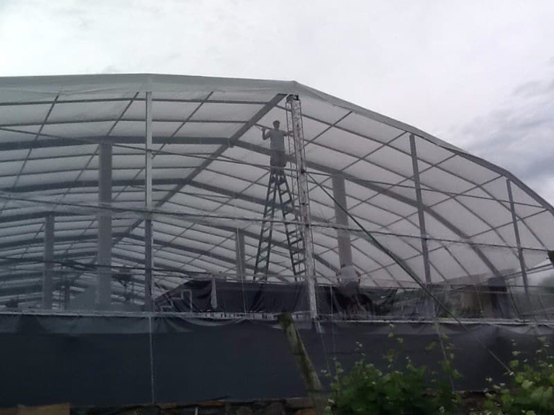 Carpa personalizada para evento en Punta del Este