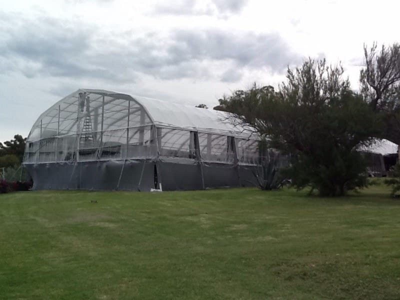 Interior de carpa personalizada con cielorraso e iluminación