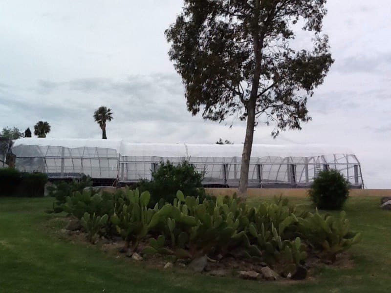 Montaje de carpa a medida para casamiento al aire libre