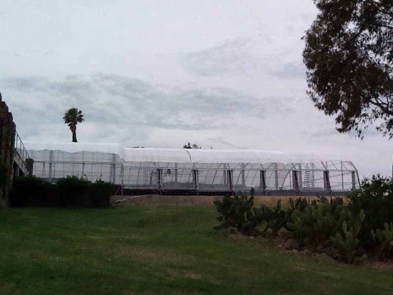 Carpa personalizada para evento de noche Punta del Este